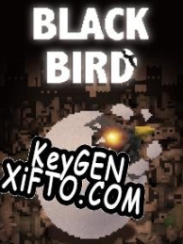Регистрационный ключ к игре  Black Bird