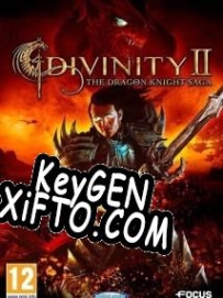 Divinity 2: The Dragon Knight Saga ключ бесплатно