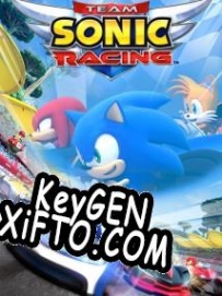Team Sonic Racing ключ активации