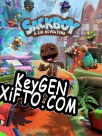 Ключ для Sackboy: A Big Adventure