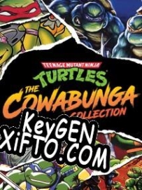 Teenage Mutant Ninja Turtles: The Cowabunga Collection ключ бесплатно