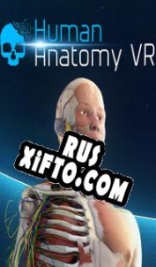 Русификатор для Human Anatomy VR
