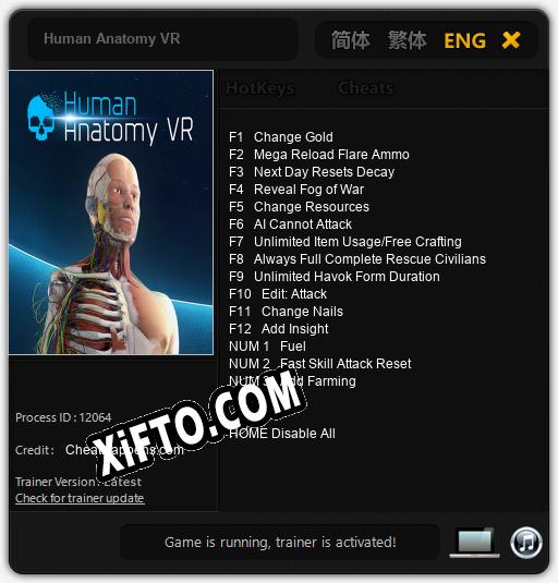 Human Anatomy VR: Трейнер +15 [v1.4]