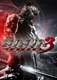 Ninja Gaiden 3: Трейнер +14 [v1.3]