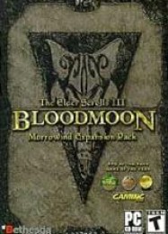 The Elder Scrolls 3: Bloodmoon: ТРЕЙНЕР И ЧИТЫ (V1.0.63)